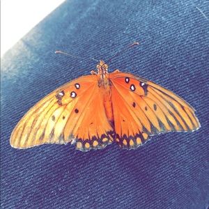 Meet your Posher, Roxana